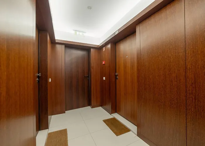 Apartman Modern Cedofeita By Hosty *