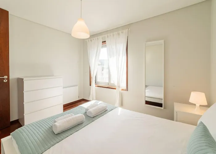 Modern Cedofeita By Hosty