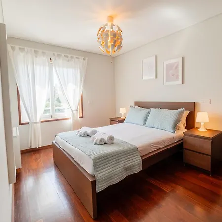 Modern Cedofeita By Hosty